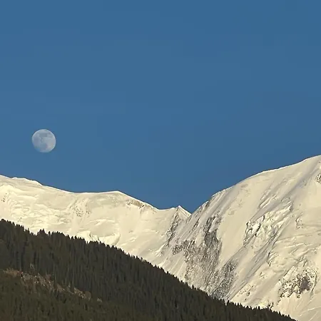 Le Contemporain - Vue Sur Le Mont Blanc * Saint-Gervais-les-Bains